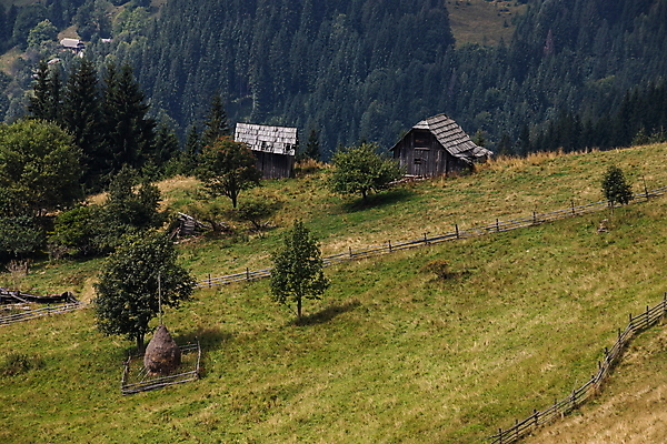 포토 JPG 해외이미지 주간 나무 주택 사람없음 야외 시골 해외포토 자연요소 식물 건물 파일형식 이미지허브