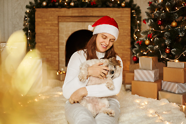 포토 JPG 해외이미지 나무 행복 백그라운드 크리스마스 겨울 가족 포옹 휴가 새로움 주택 실내 선물 사랑 한명 미소 사람 앉기 소년 성인 내부 장식 선물상자 반려동물 우정 방 흰색 축하 아기 손전등 개 달콤 강아지 벽난로 해외포토 식물 동물 1 계절 기념일 남자 감정 어린이 컬러 컨셉 포유류 관계 안기 모션 조명 표정 건물 친구 상자 맛 파일형식 이미지허브