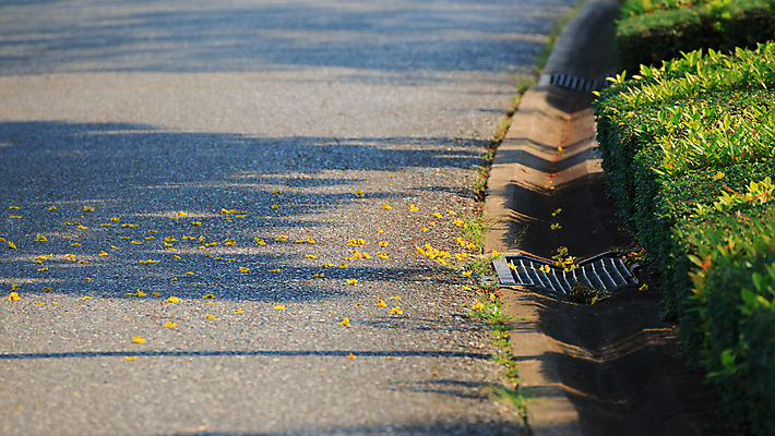 포토 JPG 해외이미지 라이프스타일 계절 공원 도로 길 백그라운드 잎 자연 사람없음 야외 초록색 여름 햇빛 환경 정원 맑음 봄 산책 오솔길 땅 내추럴 방법 해외포토 식물 공공시설 컬러 교통시설 날씨 휴식 생활 태양 생태계 파일형식 이미지허브