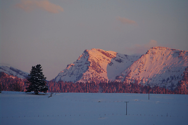포토 JPG 해외이미지 나무 계절 여행 백그라운드 크리스마스 겨울 자연 하늘 휴가 스키 산 파노라마 풍경 사람없음 야외 목재 파란색 햇빛 태양 뷰티 냉동 얼음 침묵 추위 흰색 소나무 숲 시원함 휴양지 빙하 서리 알프스 장면 북쪽 전나무 내추럴 절정 폭설 눈내림 해외포토 자연요소 식물 기념일 유럽 컬러 재료 겨울스포츠 눈_날씨 촬영기법 소리 장소 자연재해 방향 생태계 파일형식 이미지허브