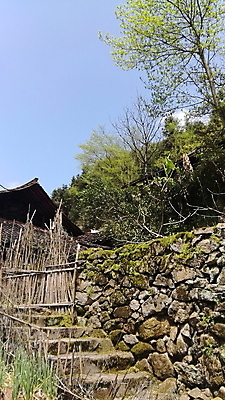 포토 JPG 해외이미지 식물 꽃 잎 꽃무늬 봄꽃 자연 사람없음 야외 빨간색 초록색 컬러풀 장미 보케 향 해외포토 컬러 무늬 봄 생태계 파일형식 이미지허브