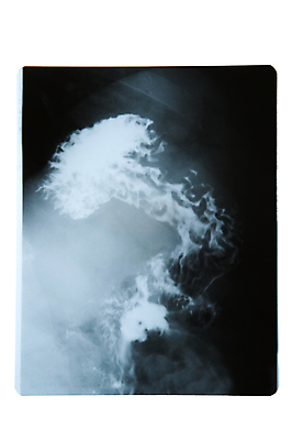 포토 JPG 해외이미지 남자 과학 신체 해부 엑스레이 사람 사람없음 약 시험 광선 흰색 오르간 질병 X 필름 고립 방사능 방사선 해외포토 알파벳 교육 컬러 의학 건반악기 파일형식 이미지허브