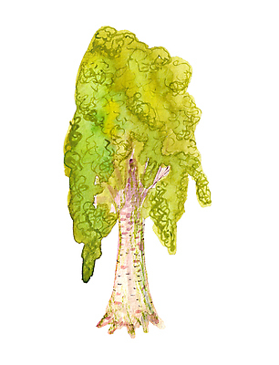 포토 JPG 해외이미지 나무 식물 손 디자인 계절 공원 백그라운드 잎 꽃무늬 일러스트 자연 미술 사람없음 목재 초록색 환경 정원 페인트 봄 흰색 나뭇가지 숲 스케치 심볼 그림 에코 유기농 자작나무 내추럴 고립 생태학 엘리먼트 해외일러스트 웰빙 공공시설 교육 꽃 컬러 무늬 재료 문화예술 신체부위 생태계 파일형식 이미지허브