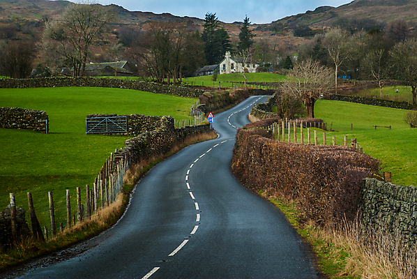 포토 JPG 해외이미지 나무 백그라운드 하늘 산 사람없음 파란색 환경 해외포토 식물 컬러 파일형식 이미지허브