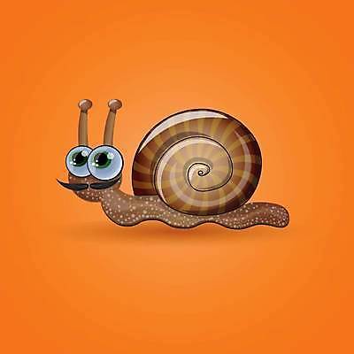 EPS 해외이미지 클립아트 동물 디자인 야생동물 백그라운드 오렌지 일러스트 모션 자연 유리 실내 안테나 나선형 갈색 정원 껍질 작음 만화 콧수염 그림 달팽이 광택 느림 길이 고립 끈적임 해외일러스트 컬러 무늬 과일 통신 재질 수염 연체동물 내부 크기 생태계 파일형식 벡터 이미지허브
