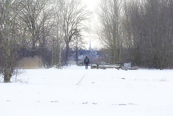 포토 JPG 해외이미지 나무 계절 실루엣 유럽 도로 백그라운드 크리스마스 겨울 밭 오렌지 자연 하늘 날씨 사람없음 야외 물 파란색 햇빛 태양 뷰티 일출 맑음 얼음 일몰 추위 안개 흰색 시골 12월 네덜란드 서리 장면 1월 눈내림 수평선 해외포토 자연요소 식물 기념일 나라 길 컬러 농업 과일 교통시설 눈_날씨 촬영기법 노을 날짜 생태계 파일형식 이미지허브