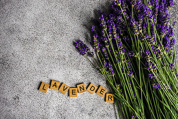 포토 JPG 해외이미지 영어 꽃 실내 사람없음 라벤더 나무블록 해외포토 식물 문자 내부 목재 블록 허브 파일형식 이미지허브