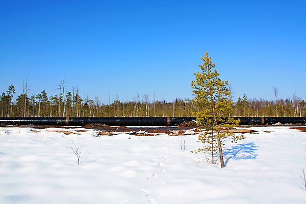 포토 JPG 해외이미지 나무 산업 도로 선 비즈니스 자연 하늘 새로움 통 사람없음 목재 파란색 금속 힘 장비 에너지 추위 숲 연결 철 부식 서리 연료 가스 공학 세대 펌프 시베리아 콘크리트 파이프라인 화학물질 해외포토 식물 교육 길 컬러 컨셉 재료 교통시설 재질 화학 생태계 파이프_관 파일형식 이미지허브