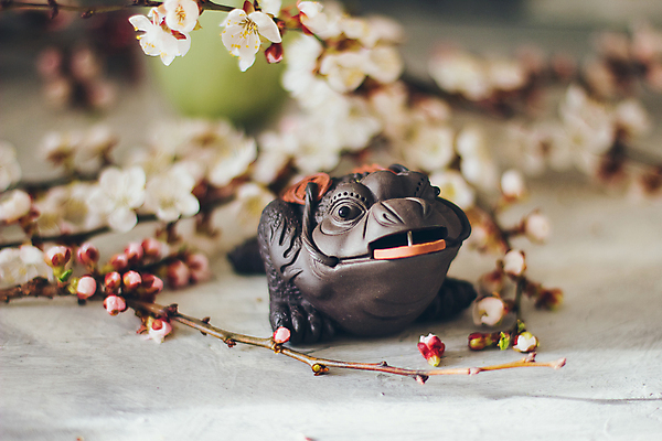 포토 JPG 해외이미지 직업 음료 선 백그라운드 컨셉 돈 유리 탁자 휴식 건강 개구리 미술 사람없음 내부 목재 장식 초록색 물 숫자 일본 동전 검은색 중국 행성 피규어 수확 흰색 신선 뜨거움 도자기 행운 재산 떨어짐 심볼 명상 동쪽 두꺼비 주인 옛날 해외포토 자연요소 나무 문자 아시아 컬러 가구 농업 재료 재질 문화예술 양서류 금융 우주 미니어처 방향 파일형식 이미지허브