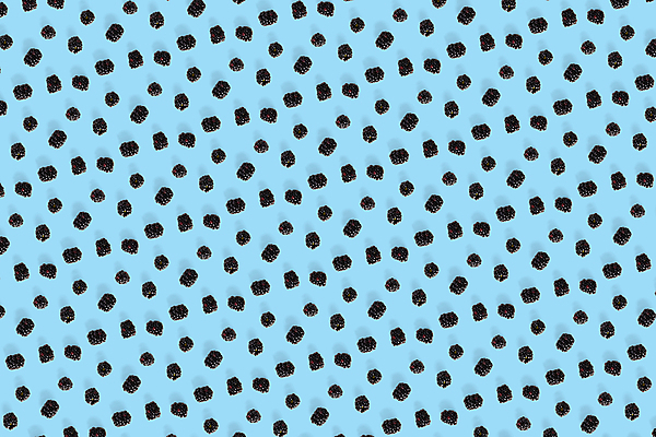 포토 JPG 해외이미지 패턴 사람없음 파란배경 블랙베리 해외포토 백그라운드 무늬 과일 파란색 파일형식 이미지허브