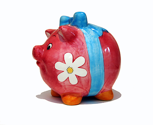 포토 JPG 해외이미지 백그라운드 돈 비즈니스 사람없음 상자 동전 침묵 저축 흰색 돼지 닫기 해외포토 컬러 포유류 모션 금융 소리 재산 파일형식 이미지허브