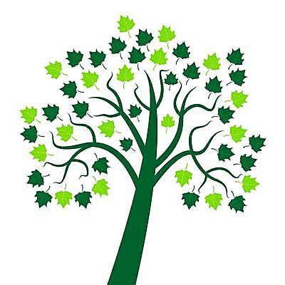 EPS 해외이미지 나무 식물 배너 계절 공원 백그라운드 잎 일러스트 텍스트 자연 추상 초록색 환경 정원 봄 덮개 흰색 신용카드 보호 숲 심볼 유기농 원예 질감 배지 내추럴 생태학 해외일러스트 웰빙 공공시설 교육 컬러 컨셉 무늬 취미 금융 뚜껑 생태계 파일형식 벡터 이미지허브