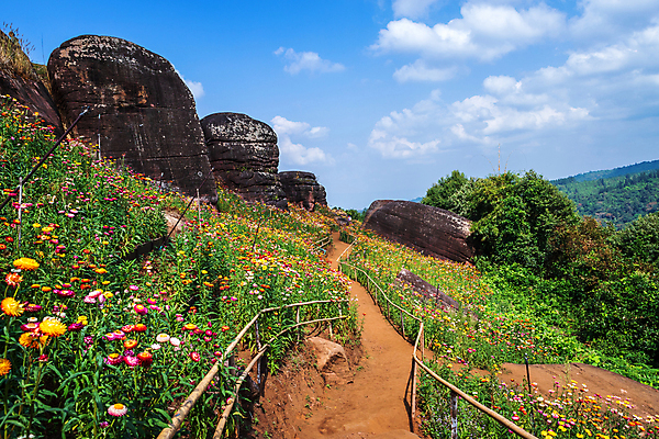 포토 JPG 해외이미지 나무 식물 계절 꽃잎 꽃 종이 분홍색 꽃다발 여행 나비 백그라운드 겨울 꽃무늬 패턴 밭 오렌지 태국 자연 하늘 파노라마 사람없음 야외 빨간색 초록색 파란색 컬러풀 뷰티 노란색 정원 보라색 봄 튤립 벚꽃 시골 신선 개화 데이지 밀짚 내추럴 해외포토 아시아 컬러 곤충 무늬 농업 과일 촬영기법 짚 생태계 파일형식 이미지허브