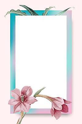 EPS 해외이미지 분홍색 하늘색 잎 일러스트 사각프레임 프레임 사람없음 아마릴리스 해외일러스트 식물 꽃 컬러 파란색 사각형 파일형식 벡터 이미지허브