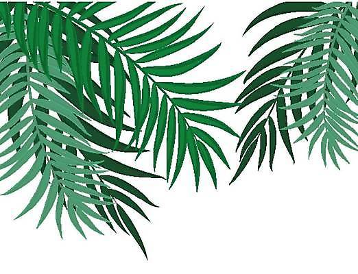 EPS 해외이미지 나무 식물 디자인 실루엣 아시아 섬 여행 백그라운드 잎 패턴 곡선 일러스트 자연 추상 프레임 손바닥 미술 해변 그래픽 초록색 여름 검은색 줄무늬 흰색 나뭇가지 숲 열대우림 심볼 오브젝트 싱글 심플 코코넛 내추럴 고립 넘어짐 엘리먼트 수평선 해외일러스트 손 계절 나라 선 바다 컬러 무늬 과일 모션 문화예술 촬영기법 생태계 파일형식 벡터 이미지허브