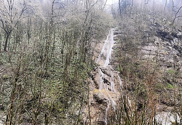 포토 JPG 해외이미지 주간 나무 야생동물 자연 날씨 사람없음 야외 가로 물 환경 놀람 폭포 흐름 개울 떨어짐 작음 속도 수로 자연백그라운드 분무기 지역 산악지대 생태학 현재 해외포토 자연요소 식물 동물 교육 감정 백그라운드 컨셉 산 표정 강 크기 생태계 파일형식 이미지허브