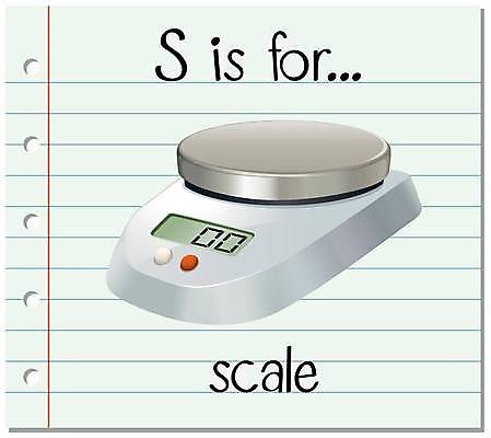 EPS 해외이미지 알파벳 영어 일러스트 영어교육 사람없음 단어 무게 S 단어카드 전자저울 해외일러스트 문자 교육 저울 파일형식 벡터 단어장 이미지허브