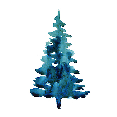 JPG 해외이미지 나무 겨울 사람없음 초록색 엘리먼트 해외일러스트 식물 계절 컬러 파일형식 이미지허브