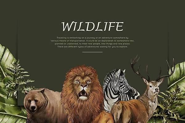 EPS 해외이미지 포스터 야생동물 잎 여러마리 일러스트 곰 사슴 사람없음 초록색 사자 얼룩말 트로피컬아트 해외일러스트 식물 동물 컬러 다수 포유류 말_동물 그림 파일형식 벡터 이미지허브