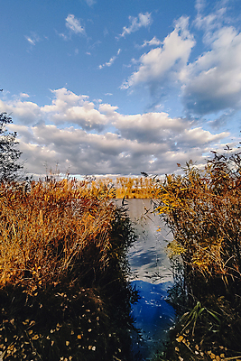 포토 JPG 해외이미지 나무 계절 공원 호수 백그라운드 잎 자연 하늘 아침 사람없음 야외 빨간색 물 파란색 빛 강 컬러풀 햇빛 태양 뷰티 반사 노란색 평화 일출 환경 맑음 일몰 새벽 광선 시골 연못 황금 숲 장면 내추럴 수평선 해외포토 주간 자연요소 식물 공공시설 컬러 컨셉 날씨 노을 생태계 파일형식 이미지허브