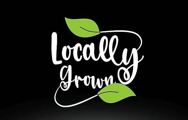 EPS 해외이미지 모양 템플릿 손 디자인 백그라운드 잎 일러스트 회사 텍스트 추상 타이포그라피 초록색 단어 기록 신용카드 심볼 신분 엘리먼트 활자 레터링 해외일러스트 식물 문자 컬러 무늬 비즈니스 신체부위 금융 활자판 파일형식 벡터 이미지허브