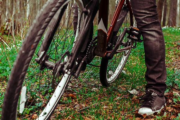 포토 JPG 해외이미지 백인 1 라이프스타일 계절 공원 여자 여행 자연 건강 서기 사람 20대 사람없음 야외 목재 초록색 여름 자전거 산책 하이킹 바퀴 숲 산악자전거 혼자 해외포토 서양인 나무 공공시설 컬러 재료 모션 레저 휴식 청년 생활 바이크 생태계 파일형식 이미지허브
