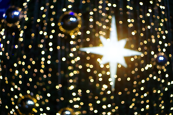 포토 JPG 해외이미지 디자인 행복 별 백그라운드 크리스마스 텍스트 추상 휴가 불꽃 새로움 기념 프레임 미술 이벤트 사람없음 장식 빛 노란색 축제 화환 수확 신용카드 화려 황금 우아함 소프트포커스 연도 복고 보케 마법 엘리먼트 옛날 카피스페이스 크리스마스배경 국경 해외포토 자연요소 기념일 꽃 감정 컬러 컨셉 무늬 농업 불 문화예술 촬영기법 금융 공백 파일형식 이미지허브