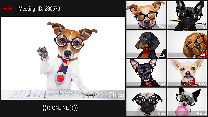 포토 JPG 해외이미지 동물 인터넷 비즈니스 통신 회의 주택 함께함 사람없음 반려동물 컴퓨터 사무실 스크린 공책 텔레비전 웹 흐름 업무 네트워크 서핑 그룹 개 연결 손목시계 부름 온라인 동영상 소셜미디어 가상 해외포토 시계 컨셉 장신구 포유류 모션 문구용품 건물 전자제품 수상스포츠 작업 파일형식 이미지허브