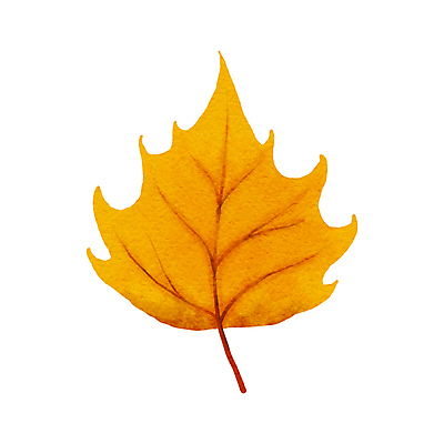 포토 JPG 해외이미지 식물 계절 꽃 단풍 잎 꽃무늬 오렌지 일러스트 자연 수채화 미술 사람없음 장식 빨간색 컬러풀 갈색 노란색 가을 나뭇가지 오브젝트 내추럴 떠남 해외일러스트 나무 컬러 무늬 과일 모션 문화예술 생태계 파일형식 이미지허브