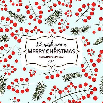 EPS 해외이미지 나무 식물 템플릿 전통 디자인 계절 열매 행복 종이 백그라운드 잎 크리스마스 겨울 패턴 일러스트 벽지 휴가 새로움 새해 선물 그래픽 장식 빨간색 초록색 축제 흰색 나뭇가지 축하 직물 인사 소나무 신용카드 인쇄 12월 연도 심플 손그림 해외일러스트 기념일 감정 컬러 컨셉 무늬 금융 예절 날짜 파일형식 벡터 이미지허브
