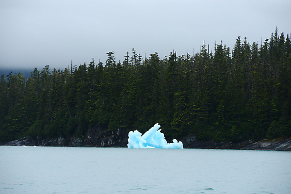 포토 JPG 해외이미지 바다 사람없음 파란색 냉동 얼음 추위 위험 큼 빙하 태평양 빙산 알래스카 깊이 단절 해외포토 자연요소 컬러 컨셉 미국 크기 파일형식 이미지허브
