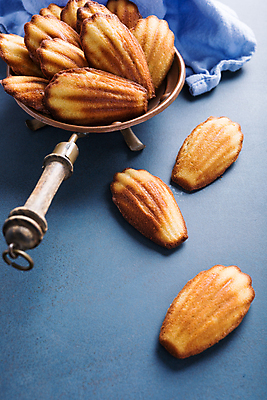 포토 JPG 해외이미지 디저트 실내 사람없음 담기 남색배경 마들렌 해외포토 음식 백그라운드 모션 내부 남색 파일형식 이미지허브