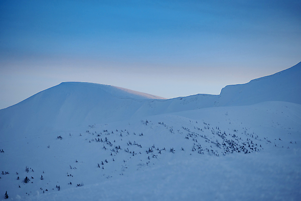 포토 JPG 해외이미지 나무 계절 여행 백그라운드 크리스마스 겨울 자연 하늘 동화 휴가 산 풍경 경사 사람없음 야외 목재 파란색 냉동 얼음 놀람 추위 안개 덮개 백발 흰색 신선 숲 언덕 즐거움 서리 전나무 눈보라 우크라이나 폭설 눈내림 가문비나무 환상 해외포토 자연요소 식물 헤어스타일 기념일 감정 유럽 컬러 컨셉 재료 날씨 눈_날씨 표정 뚜껑 자연재해 생태계 파일형식 이미지허브