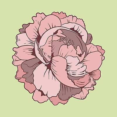 EPS 해외이미지 꽃 분홍색 일러스트 사람없음 해외일러스트 식물 컬러 파일형식 벡터 이미지허브