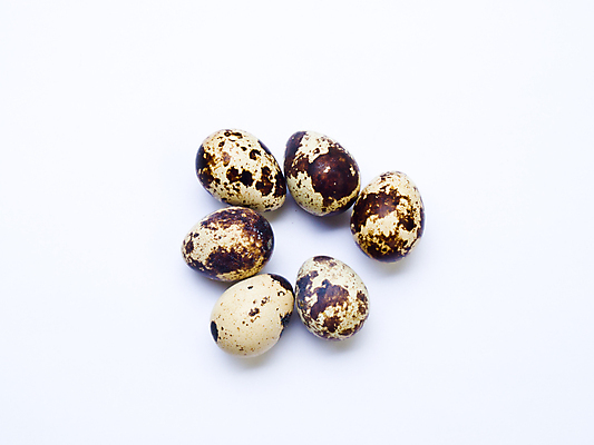 포토 JPG 해외이미지 모양 음식 백그라운드 곡선 조류 새로움 건강 사람없음 갈색 껍질 흰색 원형 그룹 중앙 아침식사 작음 먹기 오브젝트 질감 날것 치수 노른자 고립 단백질 해외포토 도형 동물 선 컬러 컨셉 모션 계란 식사 크기 영양소 파일형식 이미지허브