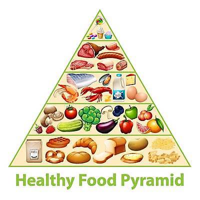 EPS 해외이미지 동물 교육 음식 과학 채소 과일 일러스트 치즈 생물 건강 육류 어류 학습 과자 인포그래픽 정보 달콤 맛 기름 만화 설탕 시리얼 먹기 비만 그림 피라미드 비타민 리빙 단백질 식용 해로움 해외일러스트 건축물 컨셉 식재료 모션 디저트 유제품 수중동물 몸매 랜드마크 영양소 파일형식 벡터 이미지허브
