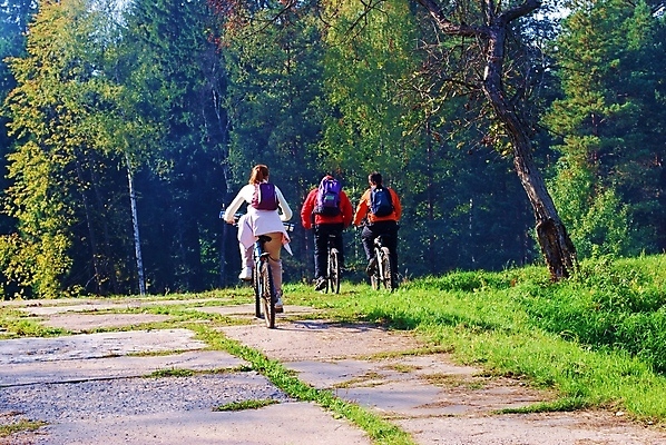포토 JPG 해외이미지 도로 스포츠 올림픽 밭 프레임 사람없음 자전거 경쟁 경기장 바퀴 구부린 헬멧 속도 흥분 체육관 근육질 사이클링 안장 극복 곤란 승자 해외포토 감정 길 컨셉 농업 스포츠시설 교통시설 모션 근육 바이크 보호장비 육상스포츠 몸매 파일형식 이미지허브