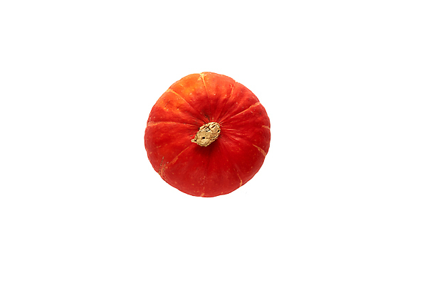 포토 JPG 해외이미지 나무 디자인 계절 백그라운드 잎 패턴 오렌지 텍스트 자연 탁자 호박 휴가 프레임 건조 따뜻함 사람없음 장식 초록색 갈색 노란색 파티 할로윈 흰색 플랫 정상 묘사 질감 레이아웃 위치 추수감사절 10월 내추럴 구성 목업 힙스터 미니멀 해외포토 식물 패션 기독교 컬러 가구 무늬 채소 과일 이벤트 날짜 생태계 파일형식 이미지허브