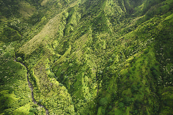 포토 JPG 해외이미지 나무 공원 바다 섬 여행 백그라운드 자연 산 안테나 사람없음 야외 초록색 물 계곡 폭포 헬리콥터 숲 하와이 드론 쥬라기 해외포토 자연요소 식물 공공시설 컬러 통신 비행기 미국 생태계 파일형식 이미지허브
