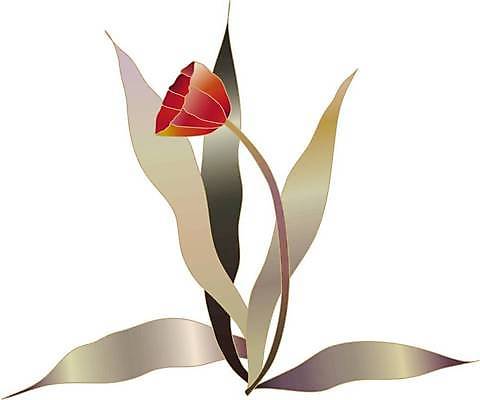 EPS 해외이미지 식물 계절 꽃 야생동물 백그라운드 꽃무늬 일러스트 자연 추상 장식 빨간색 컬러풀 정원 목도리 튤립 스케치 그림 생물학 정사각형 핸드메이드 스타일 해외일러스트 도형 동물 잡화 교육 컬러 무늬 미술 생태계 파일형식 벡터 이미지허브