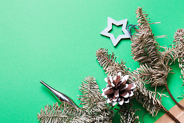 포토 JPG 해외이미지 나무 배너 계절 별 종이 백그라운드 크리스마스 겨울 오렌지 추상 휴가 새로움 새해 귤 프레임 선물 사람없음 목재 장식 초록색 장난감 축제 견과류 나뭇가지 축하 인사 소나무 신용카드 연도 엽서 패키지 전나무 거짓 구성 향나무 헤이즐넛 목업 가문비나무 캐러멜 플랫레이 카피스페이스 미니멀 해외포토 자연요소 식물 기념일 컬러 컨셉 무늬 과일 재료 디저트 금융 공백 예절 플랫 편지 파일형식 이미지허브