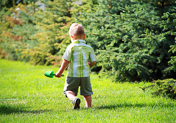 포토 JPG 해외이미지 백인 1 손 응시 계절 공원 딸 얼굴 어린이 자연 놀이 한명 미소 사람 소년 잔디 초원 야외 초록색 여름 금발 봄 기쁨 아기 작음 장면 월 걸음마 천진난만 유일 해외포토 서양인 식물 헤어스타일 시선 공공시설 남자 감정 컬러 컨셉 가족 모션 표정 신체부위 날짜 크기 생태계 파일형식 이미지허브