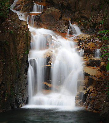 포토 JPG 해외이미지 나무 식물 공원 호수 백그라운드 잎 모션 태국 자연 휴가 휴식 사람없음 초록색 물 강 뷰티 놀람 활발 폭포 젖음 흐름 성장 연못 신선 개울 떨어짐 숲 시원함 순수 즐거움 속도 천국 파라다이스 해외포토 자연요소 공공시설 감정 아시아 컬러 컨셉 표정 생태계 파일형식 이미지허브