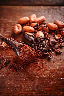 포토 JPG 해외이미지 사람없음 초콜릿 숟가락 카카오열매 코코아가루 카카오닙스 나무배경 해외포토 열매 백그라운드 디저트 수저 견과류 가루 카카오 파일형식 이미지허브