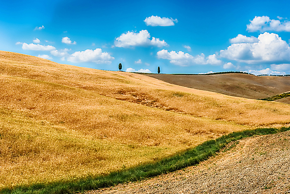 포토 JPG 해외이미지 나무 유럽 도로 여행 밭 농업 자연 건조 풍경 초원 사람없음 야외 초록색 여름 농장 농경지 이탈리아 시골 땅 밀 언덕 장면 토스카나 해외포토 식물 계절 나라 산업 길 컬러 교통시설 곡류 생태계 파일형식 이미지허브