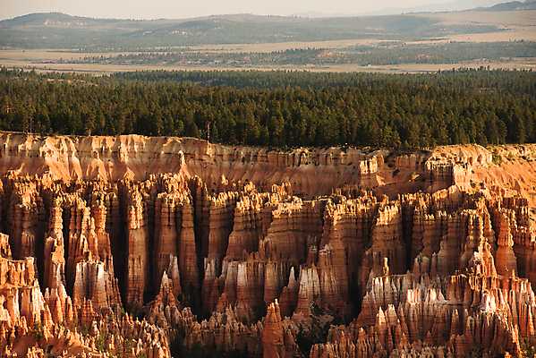 포토 JPG 해외이미지 나무 응시 공원 선 여행 오렌지 자연 하늘 휴가 산 국립공원 풍경 사람없음 야외 빨간색 초록색 파란색 컬러풀 뷰티 골짜기 미국 사막 탐험 바위 부식 질감 지역 지질학 특별함 해외포토 식물 시선 공공시설 교육 컬러 컨셉 북아메리카 과일 돌_바위 생태계 파일형식 이미지허브