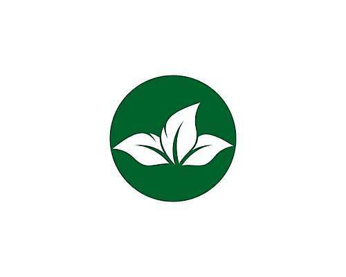 EPS 해외이미지 나무 식물 디자인 백그라운드 컨셉 잎 꽃무늬 일러스트 회사 비즈니스 전구 자연 추상 아이디어 건강 미술 초록색 여름 빛 환경 힘 봄 에너지 성장 램프 신선 보호 수집 심볼 사인 에코 유기농 내추럴 바이오 생태학 엘리먼트 해외일러스트 웰빙 계절 교육 꽃 컬러 무늬 문화예술 조명 생태계 파일형식 벡터 이미지허브
