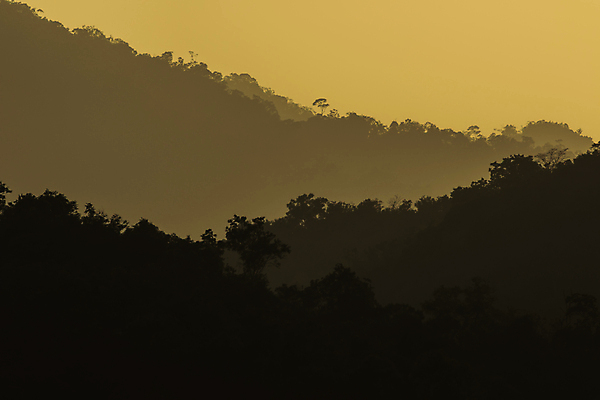 포토 JPG 해외이미지 나무 공원 아시아 여행 백그라운드 태국 자연 하늘 아침 산 사람없음 야외 초록색 파란색 햇빛 태양 뷰티 일출 환경 일몰 숲 언덕 장면 내추럴 해외포토 주간 자연요소 식물 공공시설 나라 컬러 노을 생태계 파일형식 이미지허브