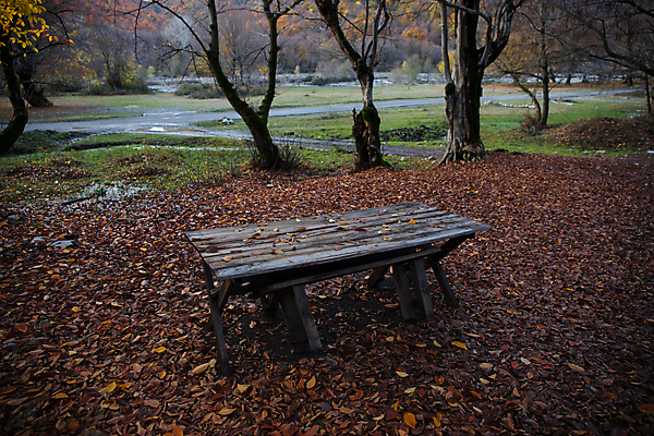포토 JPG 해외이미지 나무 디자인 계절 공원 백그라운드 단풍 잎 오렌지 자연 탁자 추상 바닥 사람없음 목재 빨간색 초록색 빛 컬러풀 태양 갈색 노란색 우주 주방 정원 맑음 일몰 가을 시골 황금 고독 널 상품 정상 숲 질감 복고 보케 내추럴 옛날 해외포토 자연요소 식물 공공시설 감정 컬러 가구 무늬 과일 재료 날씨 노을 생태계 파일형식 이미지허브