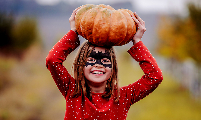 포토 JPG 해외이미지 여자 어린이 호박 한명 들기 상반신 앞모습 할로윈 소녀한명만 해외포토 1 뷰포인트 채소 모션 사람 여자한명만 소녀만 파일형식 이미지허브